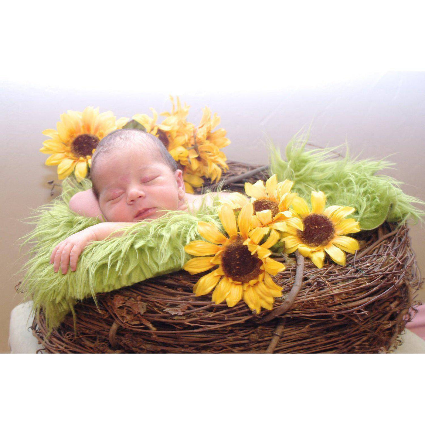 SET Lime Green Fur & Wood Branch Nest Owl Bird Photography Prop Newborn Baby - Beautiful Photo Props