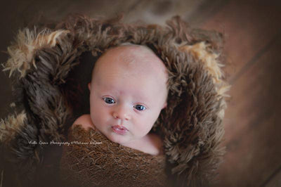 Dark Brown Pelagio Faux Fur Photography Prop Rug - Beautiful Photo Props