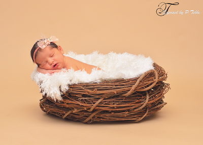 SET Barley Basket Filler and Wood Branch Nest Owl Bird Newborn Photography Prop Baby Infant Photo Prop - Beautiful Photo Props