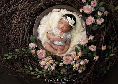 Cream Newborn Fluff Cloud Basket Filler Nest Stuffer - Beautiful Photo Props
