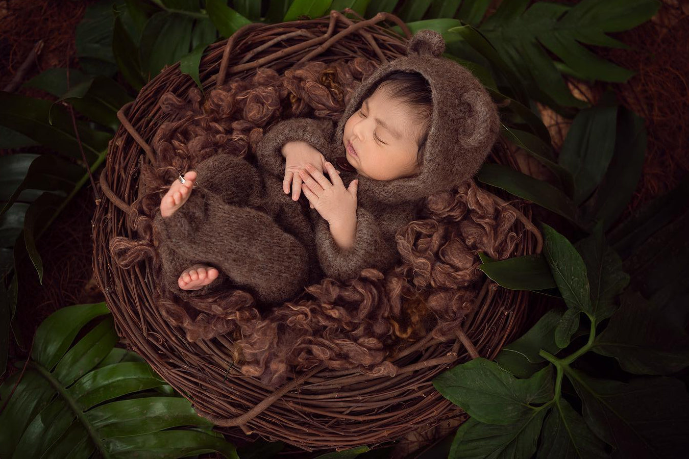 SET Barley Basket Filler and Wood Branch Nest Owl Bird Newborn Photography Prop Baby Infant Photo Prop - Beautiful Photo Props