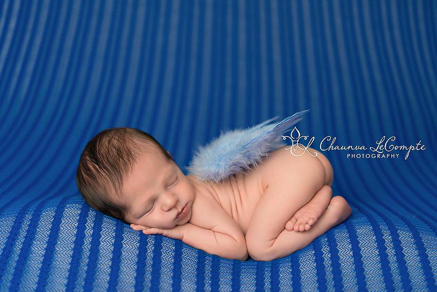Blue Feather Angel Wings Newborn Baby Photo Prop - Beautiful Photo Props