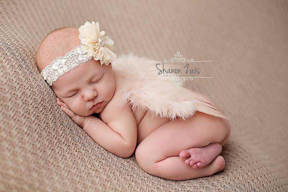 Blush Pink Feather Angel Wings Newborn Baby Photo Prop - Beautiful Photo Props