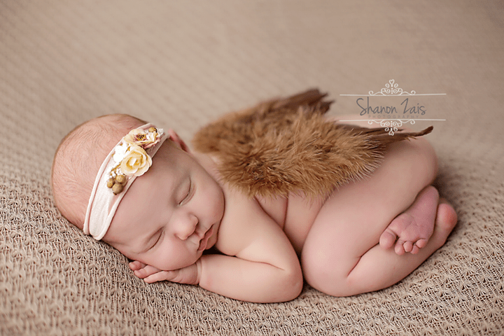 Brown Feather Angel Wings Newborn Baby Photo Prop - Beautiful Photo Props