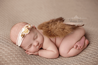 Brown Feather Angel Wings Newborn Baby Photo Prop - Beautiful Photo Props