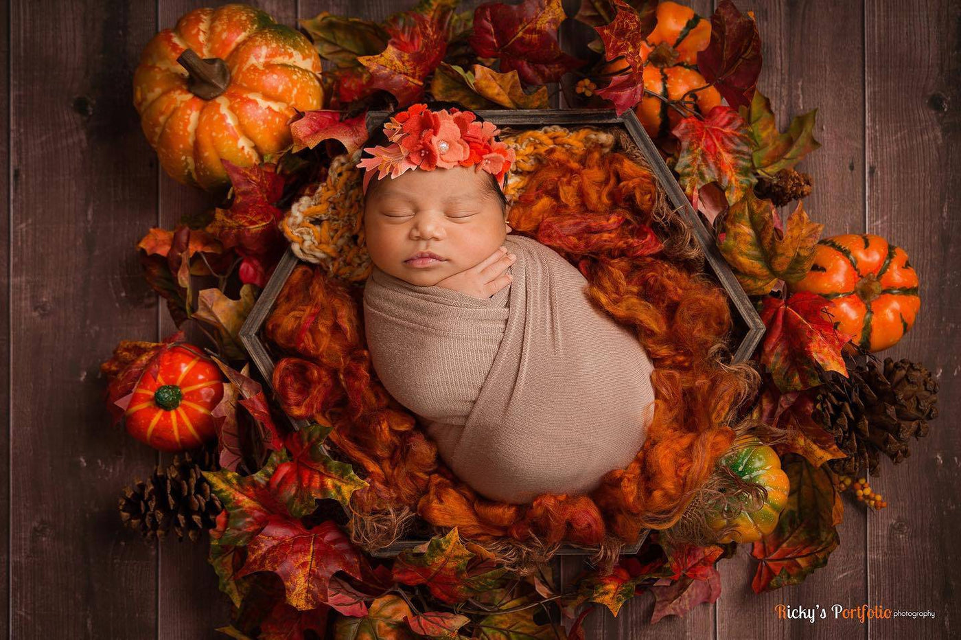 Rust Orange Newborn Fluff Cloud Basket Filler Nest Stuffer - Beautiful Photo Props