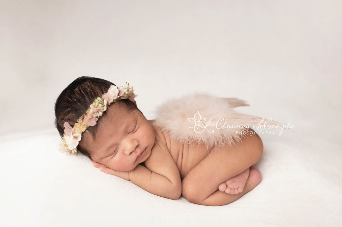 Solid Tan Feather Wings Newborn Baby Photo Prop - Beautiful Photo Props