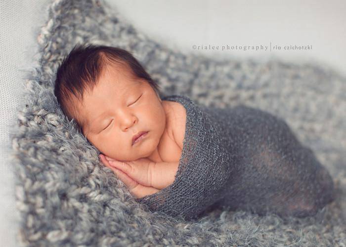 Gray Fur Baby Blanket - Beautiful Photo Props