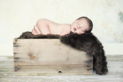 Chocolate Brown Mongolian Fur Photography Prop Rug Newborn Baby - Beautiful Photo Props