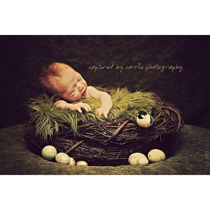 SET Olive Fur and Wood Branch Nest Owl Bird Photography Prop Newborn Baby - Beautiful Photo Props