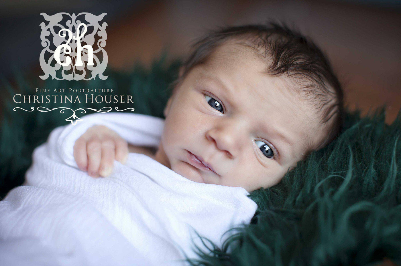 Hunter Green Mongolian Fur Nest Photography Prop Rug Newborn Baby - Beautiful Photo Props