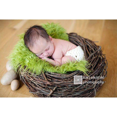 SET Lime Green Fur & Wood Branch Nest Owl Bird Photography Prop Newborn Baby - Beautiful Photo Props