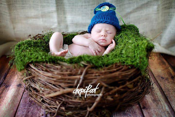 Wood Branch Newborn Owl Bird Nest Newborn Photography Prop Infant - Beautiful Photo Props