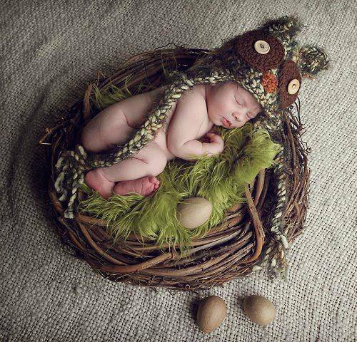 Wood Branch Newborn Owl Bird Nest Newborn Photography Prop Infant - Beautiful Photo Props