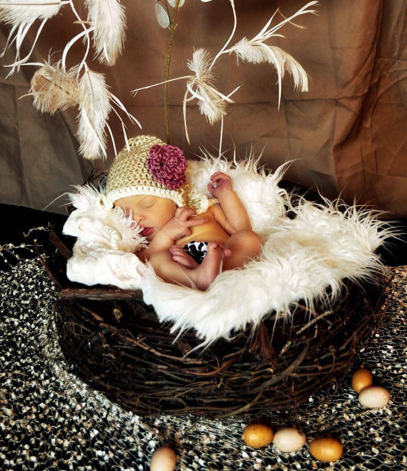 Wood Branch Newborn Owl Bird Nest Newborn Photography Prop Infant - Beautiful Photo Props