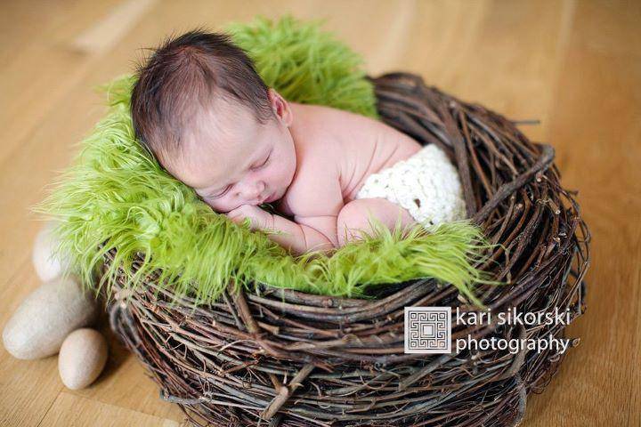 Wood Branch Newborn Owl Bird Nest Newborn Photography Prop Infant - Beautiful Photo Props