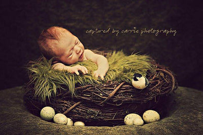 Wood Branch Newborn Owl Bird Nest Newborn Photography Prop Infant - Beautiful Photo Props