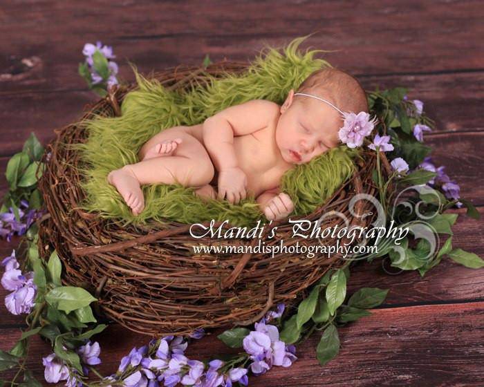 Wood Branch Newborn Owl Bird Nest Newborn Photography Prop Infant - Beautiful Photo Props