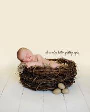 Wood Branch Newborn Owl Bird Nest Newborn Photography Prop Infant - Beautiful Photo Props