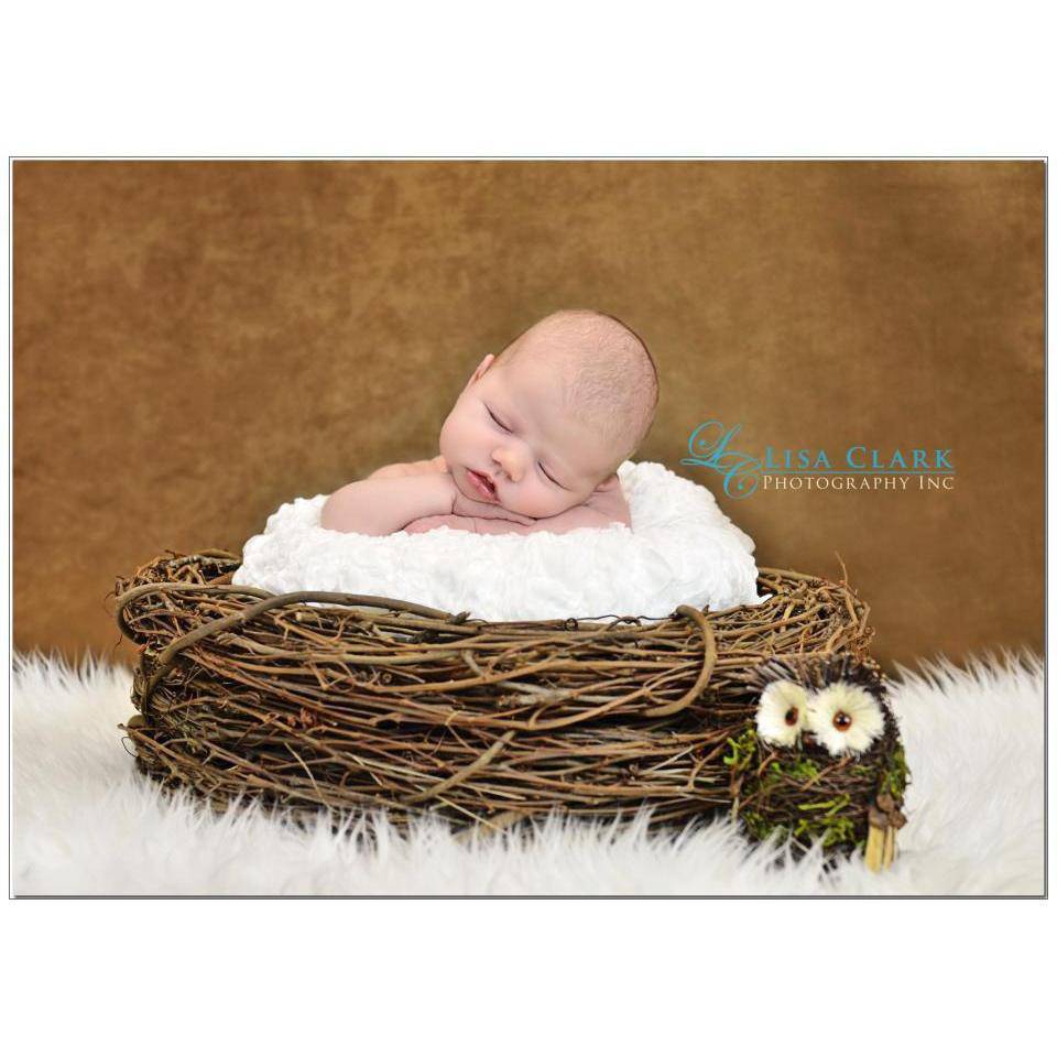 Wood Branch Newborn Owl Bird Nest Newborn Photography Photo Prop - Beautiful Photo Props