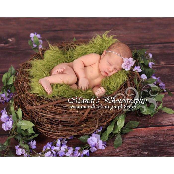 Wood Branch Newborn Owl Bird Nest Newborn Photography Photo Prop - Beautiful Photo Props