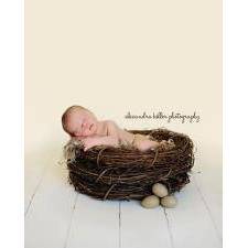 Wood Branch Newborn Owl Bird Nest Newborn Photography Photo Prop - Beautiful Photo Props