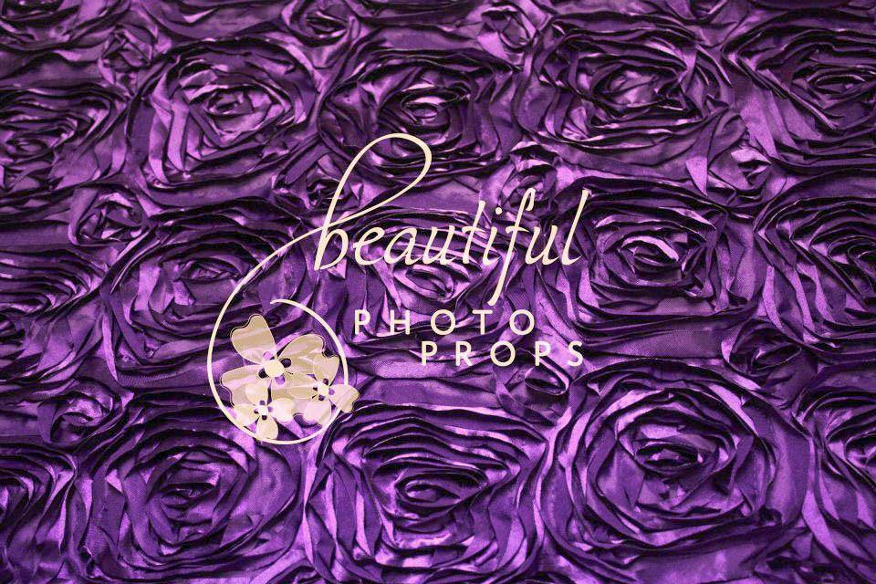 Purple Posing Fabric Backdrop - Beautiful Photo Props