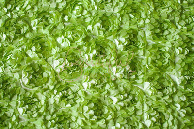 Apple Green Rose Fabric Backdrop - Beautiful Photo Props
