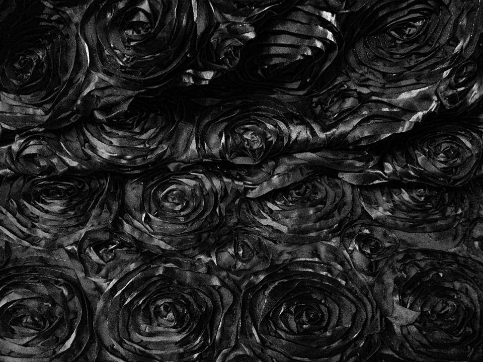 Black Posing Fabric Backdrop - Beautiful Photo Props