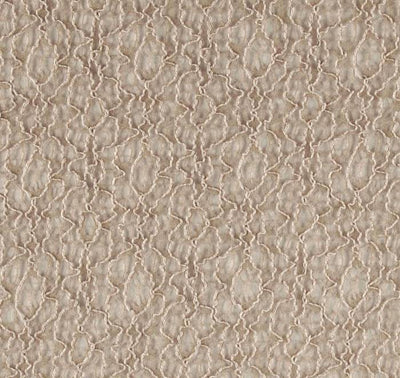 Fabric Lace Wrap in Beige - Beautiful Photo Props