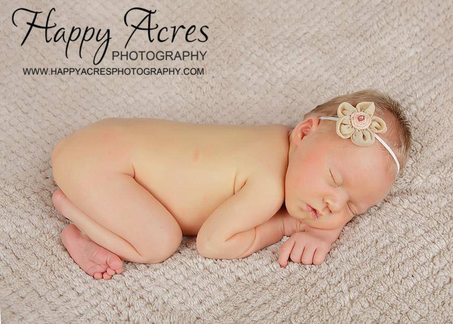 Beige Gauze Fabric Flower Headband - Beautiful Photo Props