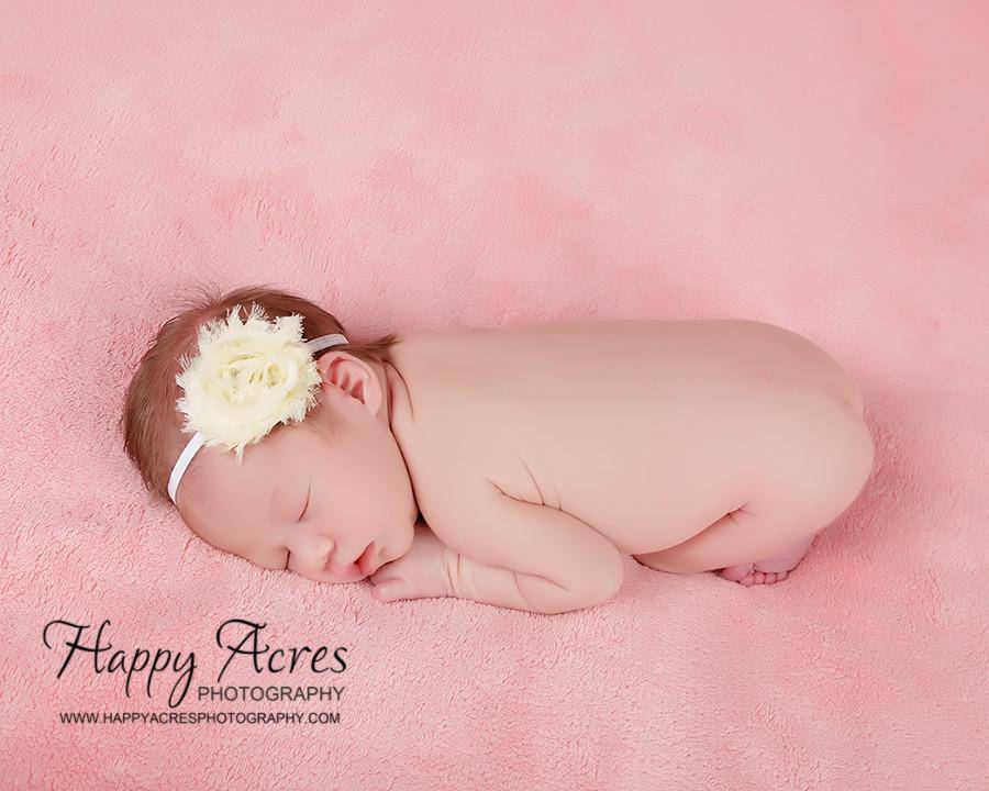 Cream Chiffon Flower Headband - Beautiful Photo Props