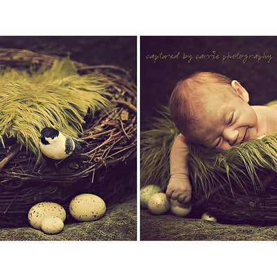 SET Olive Fur and Wood Branch Nest Owl Bird Photography Prop Newborn Baby Photo Prop - Beautiful Photo Props