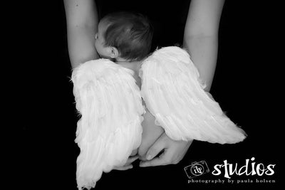 White Feather Angel Wings Newborn Baby Toddler Photo Prop - Beautiful Photo Props