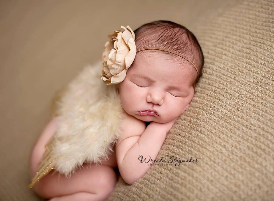 Glitter Tan Feather Angel Wings Newborn Baby Photography Prop - Beautiful Photo Props