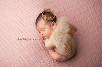 Glitter Tan Feather Angel Wings Newborn Baby Photography Prop - Beautiful Photo Props