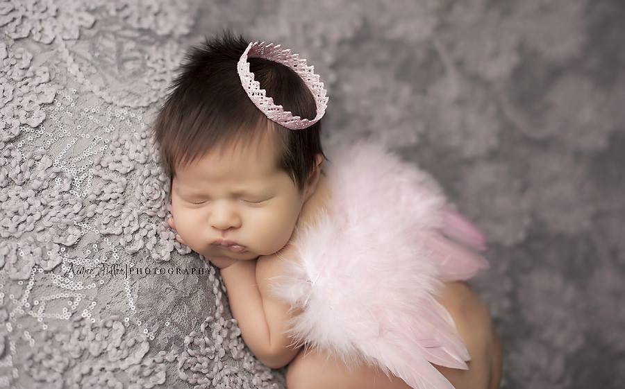 Pale Pink Feather Angel Wings Newborn Baby Photo Prop - Beautiful Photo Props