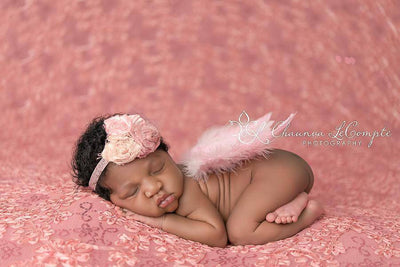 Pale Pink Feather Angel Wings Newborn Baby Photo Prop - Beautiful Photo Props