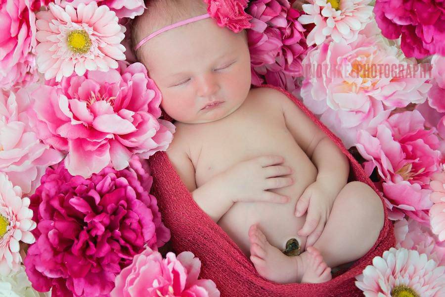 Zinnia Pink Stretch Knit Baby Wrap - Beautiful Photo Props