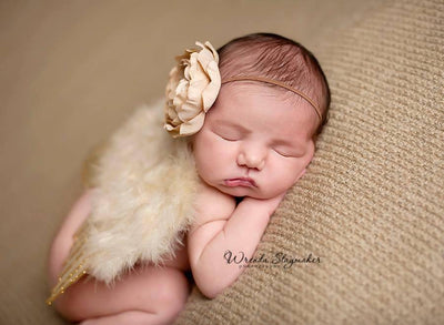 Tan Glitter Feather Wings Newborn Baby Photo Prop - Beautiful Photo Props