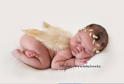 Tan Glitter Feather Wings Newborn Baby Photo Prop - Beautiful Photo Props