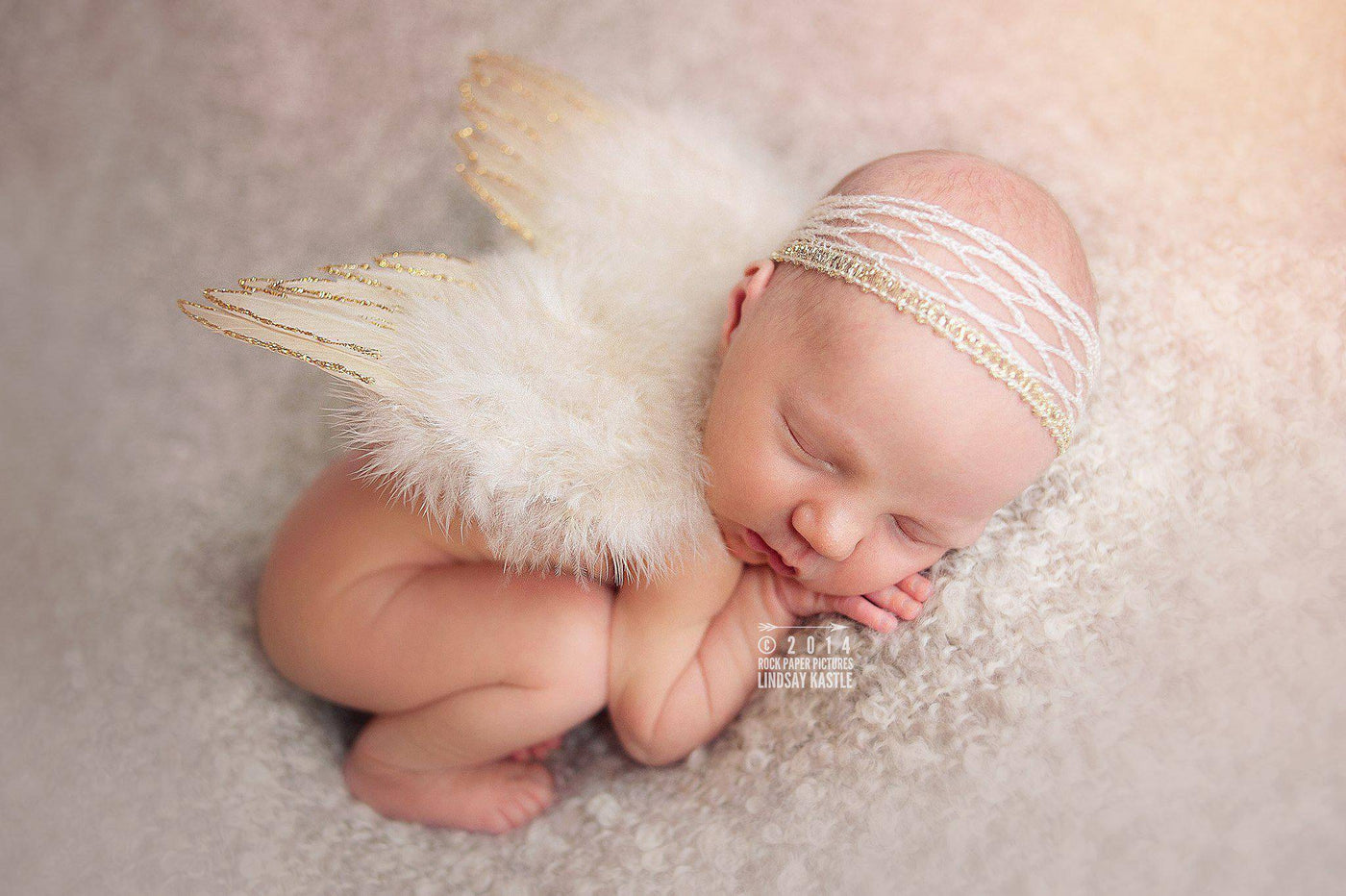 Tan Glitter Feather Wings Newborn Baby Photo Prop - Beautiful Photo Props