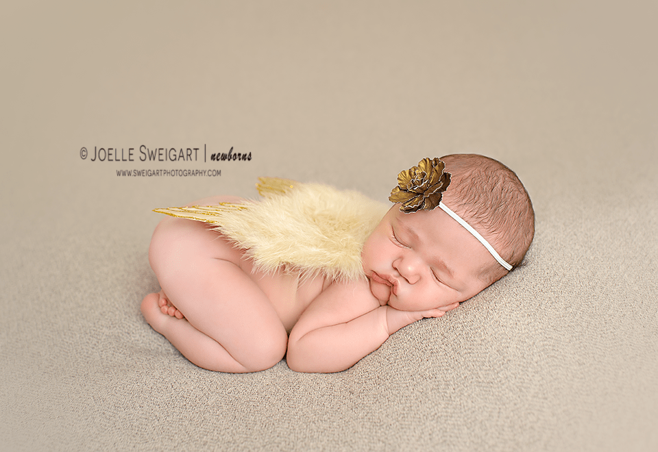 Gold Glitter Feather Wings Newborn Baby Photo Prop - Beautiful Photo Props