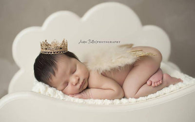 Gold Glitter Feather Wings Newborn Baby Photo Prop - Beautiful Photo Props