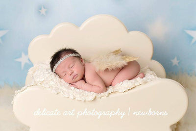 Gold Glitter Feather Wings Newborn Baby Photo Prop - Beautiful Photo Props