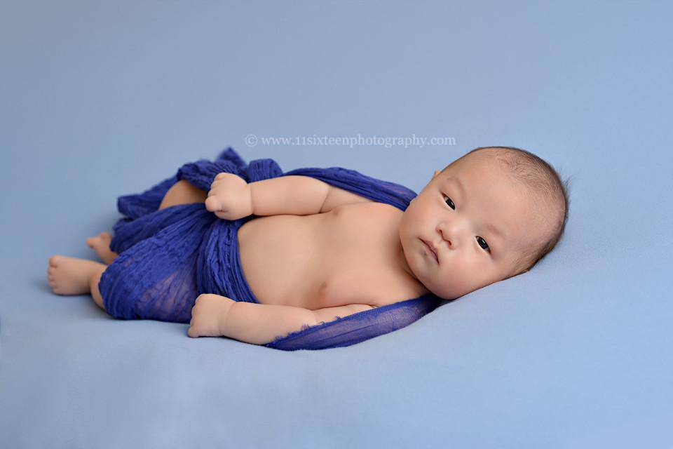 Royal Blue Cheesecloth Baby Wrap Cheese Cloth Fabric - Beautiful Photo Props