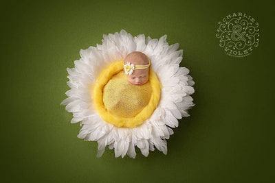 Mellow Yellow Stretch Knit Baby Wrap - Beautiful Photo Props