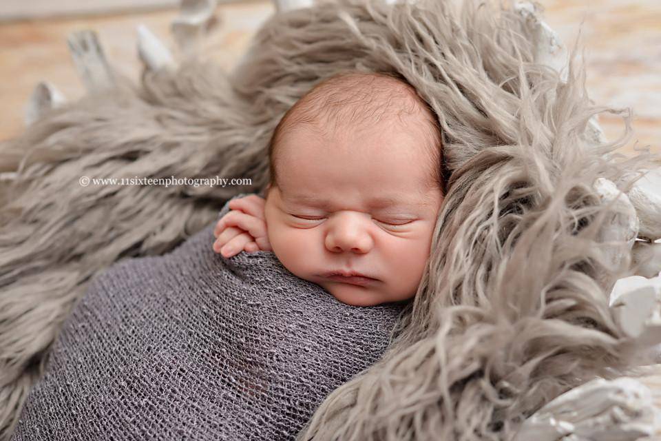 Oyster Curly Alpaca Faux Flokati Fur Newborn Photography Prop - Beautiful Photo Props