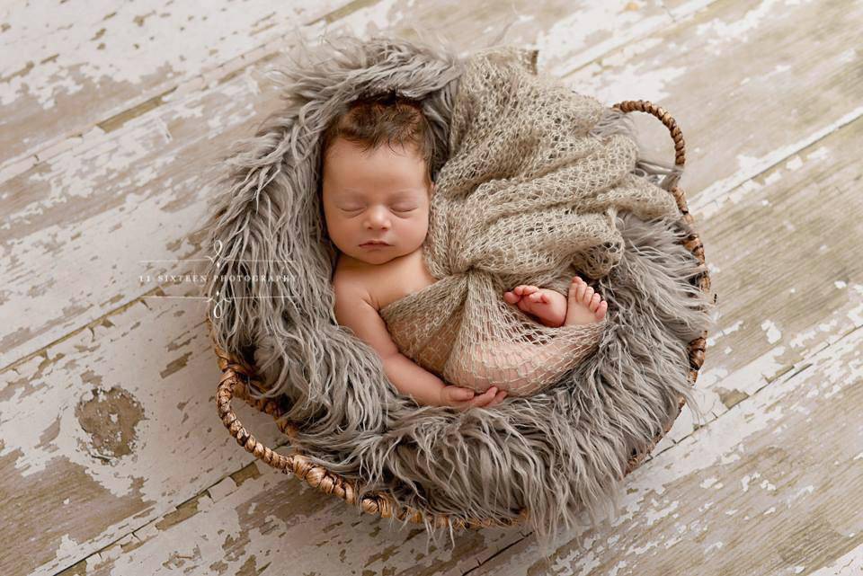 Oyster Curly Alpaca Faux Flokati Fur Newborn Photography Prop - Beautiful Photo Props