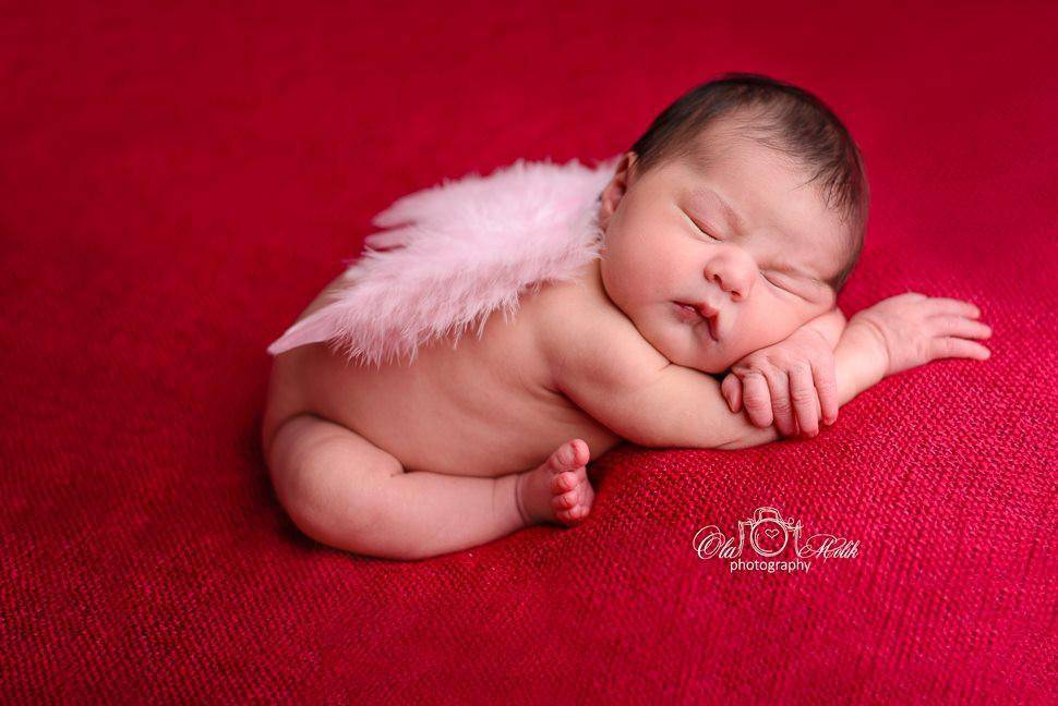 Light Pink Feather Angel Wings Newborn Baby Photo Prop - Beautiful Photo Props